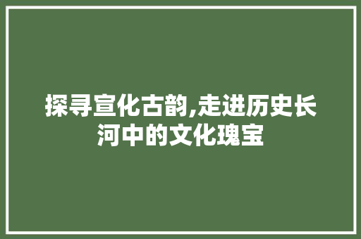 探寻宣化古韵,走进历史长河中的文化瑰宝