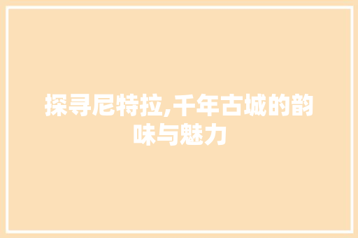 探寻尼特拉,千年古城的韵味与魅力  第1张