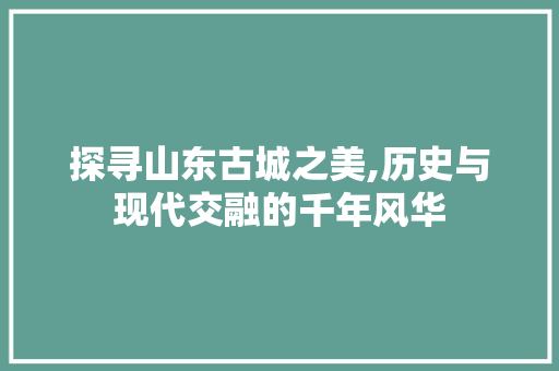 探寻山东古城之美,历史与现代交融的千年风华