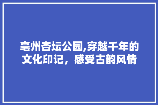 亳州杏坛公园,穿越千年的文化印记，感受古韵风情