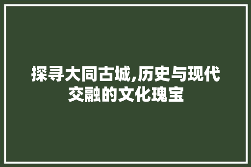 探寻大同古城,历史与现代交融的文化瑰宝