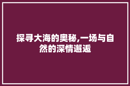探寻大海的奥秘,一场与自然的深情邂逅