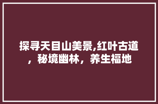 探寻天目山美景,红叶古道，秘境幽林，养生福地
