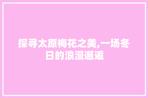 探寻太原梅花之美,一场冬日的浪漫邂逅