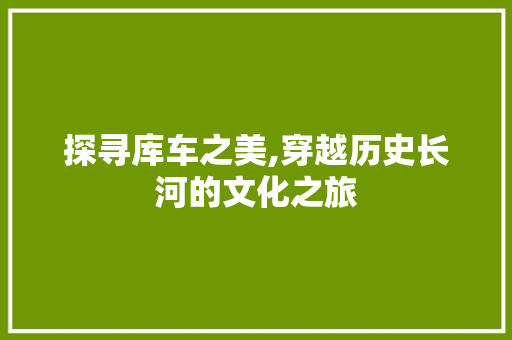 探寻库车之美,穿越历史长河的文化之旅