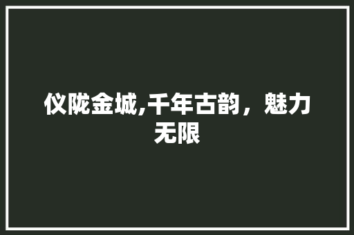 仪陇金城,千年古韵，魅力无限