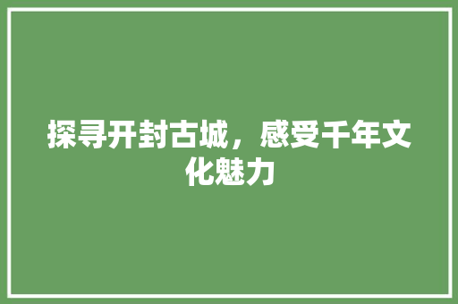 探寻开封古城，感受千年文化魅力