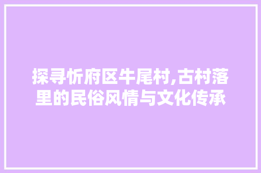 探寻忻府区牛尾村,古村落里的民俗风情与文化传承  第1张