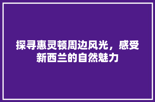 探寻惠灵顿周边风光，感受新西兰的自然魅力