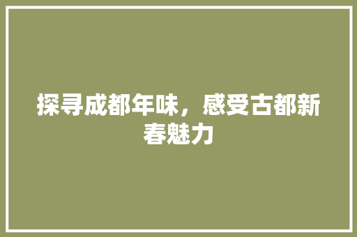探寻成都年味，感受古都新春魅力