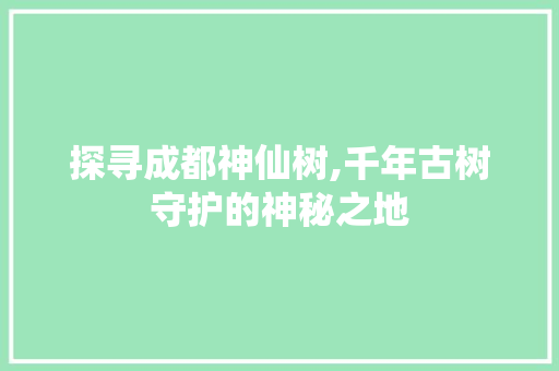 探寻成都神仙树,千年古树守护的神秘之地