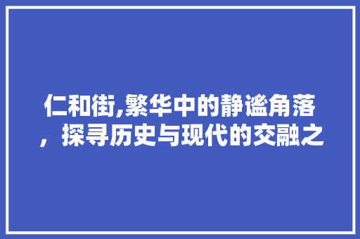 仁和街,繁华中的静谧角落，探寻历史与现代的交融之美  第1张