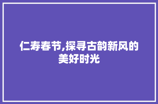 仁寿春节,探寻古韵新风的美好时光