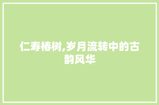 仁寿椿树,岁月流转中的古韵风华