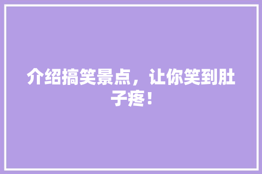 介绍搞笑景点，让你笑到肚子疼！