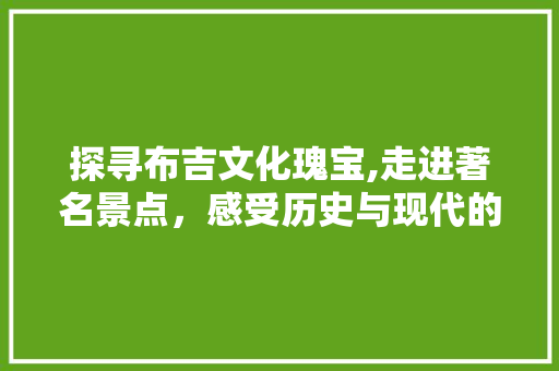 探寻布吉文化瑰宝,走进著名景点，感受历史与现代的交融  第1张