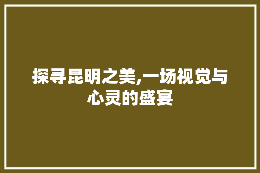 探寻昆明之美,一场视觉与心灵的盛宴