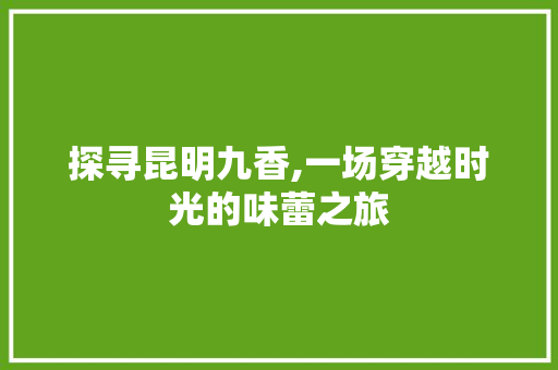 探寻昆明九香,一场穿越时光的味蕾之旅