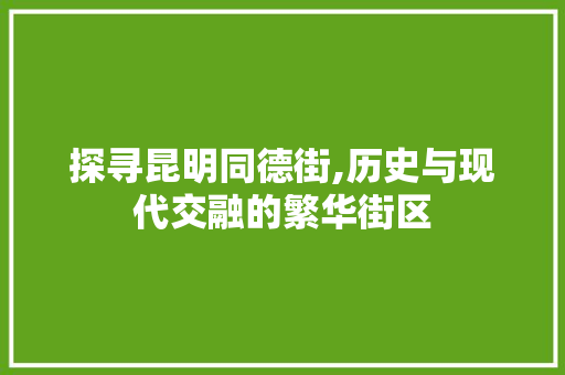 探寻昆明同德街,历史与现代交融的繁华街区