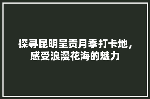 探寻昆明呈贡月季打卡地，感受浪漫花海的魅力  第1张