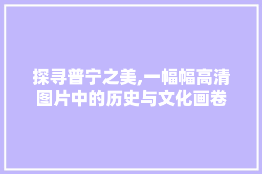 探寻普宁之美,一幅幅高清图片中的历史与文化画卷