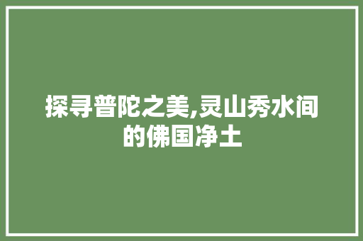 探寻普陀之美,灵山秀水间的佛国净土