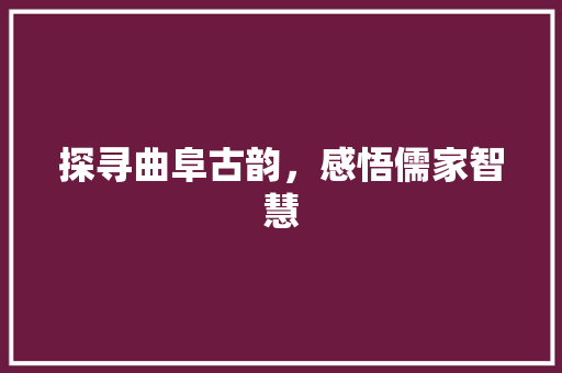 探寻曲阜古韵，感悟儒家智慧
