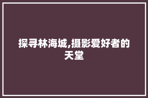 探寻林海城,摄影爱好者的天堂