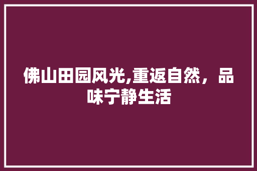 佛山田园风光,重返自然，品味宁静生活
