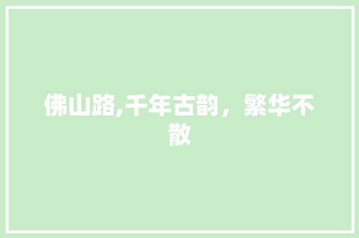 佛山路,千年古韵，繁华不散