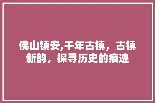 佛山镇安,千年古镇，古镇新韵，探寻历史的痕迹  第1张