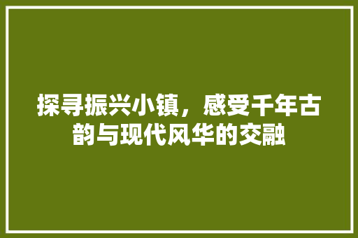 探寻振兴小镇，感受千年古韵与现代风华的交融