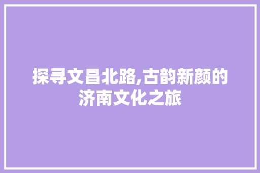 探寻文昌北路,古韵新颜的济南文化之旅