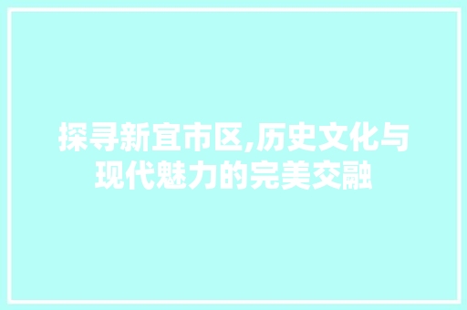 探寻新宜市区,历史文化与现代魅力的完美交融