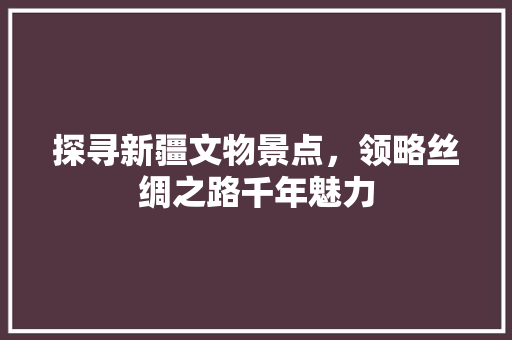 探寻新疆文物景点，领略丝绸之路千年魅力