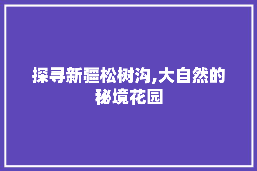 探寻新疆松树沟,大自然的秘境花园  第1张