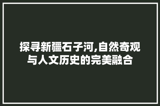 探寻新疆石子河,自然奇观与人文历史的完美融合
