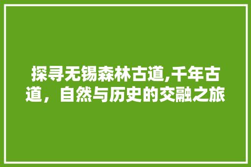 探寻无锡森林古道,千年古道，自然与历史的交融之旅