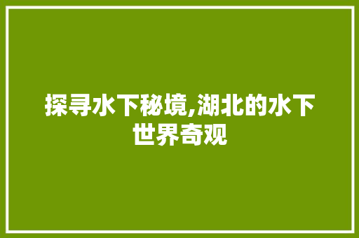 探寻水下秘境,湖北的水下世界奇观  第1张