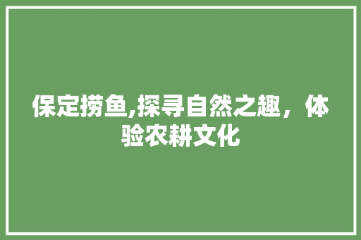 保定捞鱼,探寻自然之趣，体验农耕文化