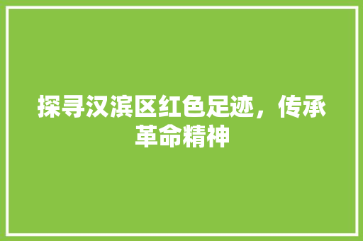 探寻汉滨区红色足迹，传承革命精神