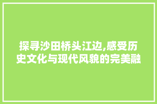 探寻沙田桥头江边,感受历史文化与现代风貌的完美融合