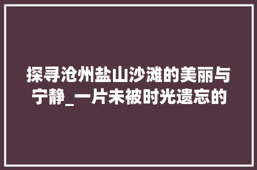 探寻沧州盐山沙滩的美丽与宁静_一片未被时光遗忘的海岸线