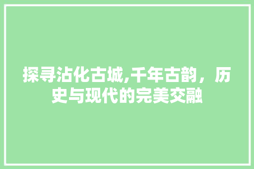 探寻沾化古城,千年古韵，历史与现代的完美交融
