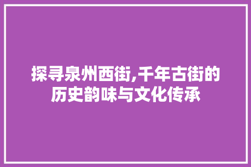 探寻泉州西街,千年古街的历史韵味与文化传承