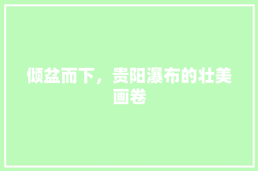 倾盆而下，贵阳瀑布的壮美画卷