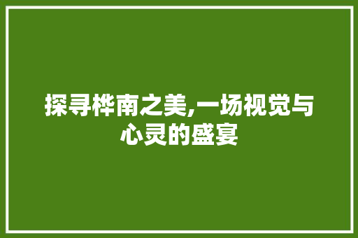 探寻桦南之美,一场视觉与心灵的盛宴