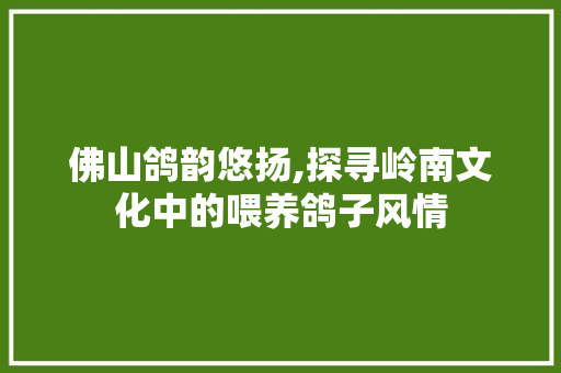 佛山鸽韵悠扬,探寻岭南文化中的喂养鸽子风情