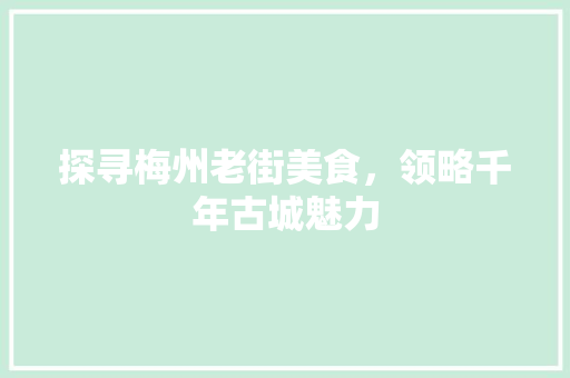 探寻梅州老街美食，领略千年古城魅力