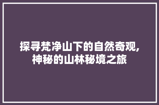探寻梵净山下的自然奇观,神秘的山林秘境之旅